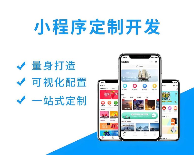 软件开发